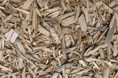 biomass boilers Muston